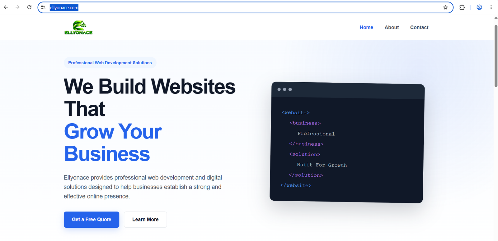Professional Web Development Solutions